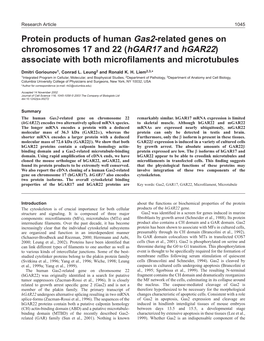 Protein Products of Human Gas2-Related Genes on Chromosomes 17 and 22 (Hgar17 and Hgar22) Associate with Both Microﬁlaments and Microtubules