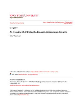 An Overview of Anthelmintic Drugs in Ascaris Suum Intestine