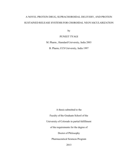 A Novel Protein Drug, Suprachoroidal Delivery, and Protein Sustained Release Systems for Choroidal Neovascularization