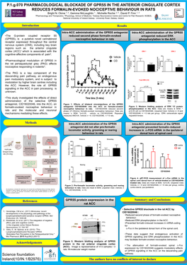 P.1.G.070 PHARMACOLOGICAL BLOCKADE of GPR55 in the ANTERIOR CINGULATE CORTEX REDUCES FORMALIN-EVOKED NOCICEPTIVE BEHAVIOUR in RATS Bright N