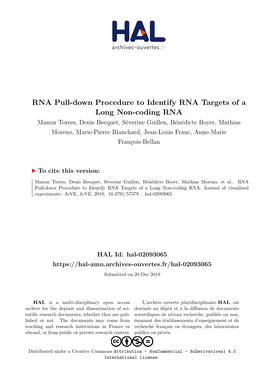 RNA Pull-Down Procedure to Identify RNA Targets of a Long Non-Coding