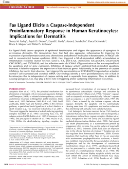 Fas Ligand Elicits a Caspase-Independent Proinflammatory Response in Human Keratinocytes: Implications for Dermatitis Sherry M