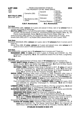 Lot 269 from Coolnamona Stables 269 the Property of Ms