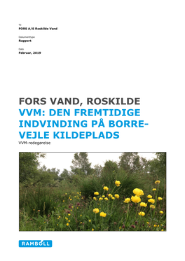 Fors Vand, Roskilde