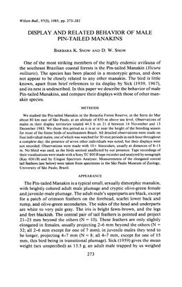 Display and Related Behavior of Male Pin-Tailed Manakins