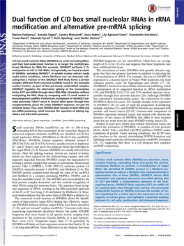 Dual Function of C/D Box Small Nucleolar Rnas in Rrna PNAS PLUS Modification and Alternative Pre-Mrna Splicing