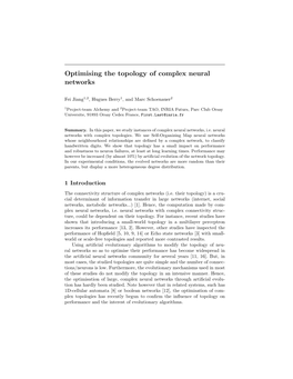 Optimizing the Topology of Complex Neural Networks