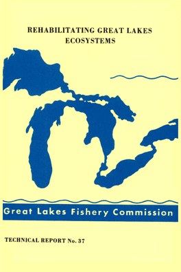Rehabilitating Great Lakes Ecosystems