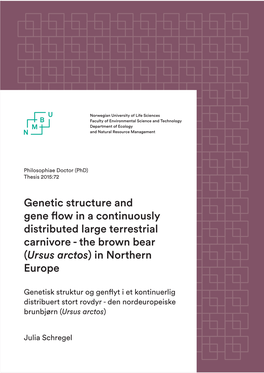 Genetic Structure and Gene Flow in a Continuously Distributed Large Terrestrial Carnivore - the Brown Bear (Ursus Arctos) in Northern Europe