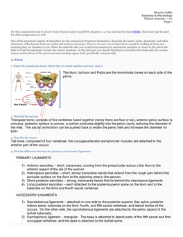 The Ilium, Ischium and Pubis Are the Innominate Bones on Each Side of the Pelvis