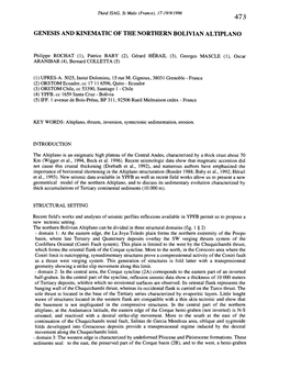 Genesis and Kinematic of the Northern Bolivian Altiplano