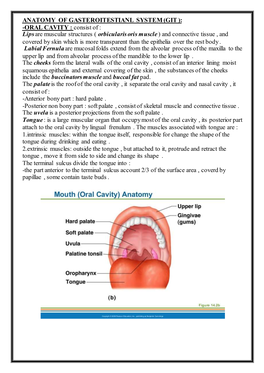 ANATOMY of GASTEROITESTIANL SYSTEM (GIT ): Consist of : ORAL CAVITY