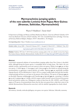 Myrmarachnine Jumping Spiders of the New Subtribe Levieina from Papua