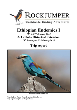 Ethiopian Endemics I 11Th to 29Th January 2014 & Lalibela Historical Extension 29Th January to 1St February 2014