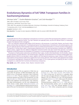 Evolutionary Dynamics of Hat DNA Transposon Families in Saccharomycetaceae