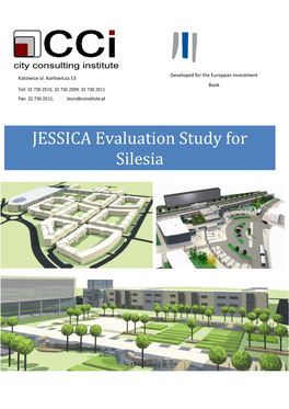 JESSICA Evaluation Study for Silesia Disclaimer