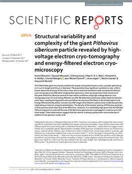 Structural Variability and Complexity of the Giant Pithovirus Sibericum