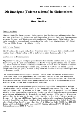 Die Brandgans (Tadorna Tadorna) in Niedersachsen