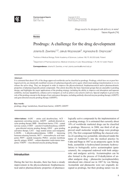 Prodrugs: a Challenge for the Drug Development