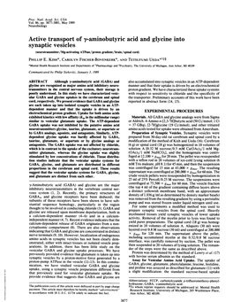 Active Transport of Y-Aminobutyric Acid and Glycine Into Synaptic Vesicles (Neurotransmitter/Mg-Activating Atpase/Proton Gradient/Brain/Spinal Cord) PHILLIP E