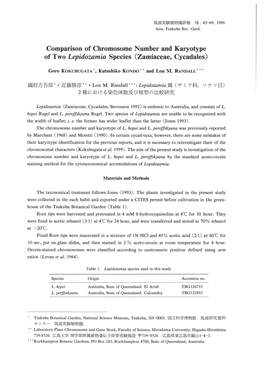 Comparison of Chromosome Number and Karyotype of Two Lepidozamia Species