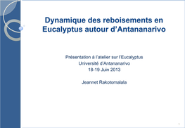 Dynamique Des Reboisements En Eucalyptus Autour D'antananarivo