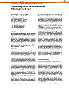 Spatial Regulation of Developmental Signaling by a Serpin