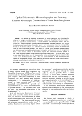 Optical Microscopic, Microradiographic and Scanning Electron Microscopic Observations of Some Dens Invaginatus