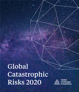 Download Global Catastrophic Risks 2020