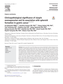 Clinicopathological Significance of Claspin Overexpression and Its