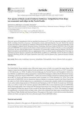 New Species of Black Corals (Cnidaria:Anthozoa: Antipatharia) from Deep- Sea Seamounts and Ridges in the North Pacific