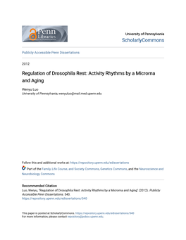 Regulation of Drosophila Rest: Activity Rhythms by a Microrna and Aging