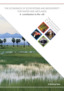 The Economics of Ecosystems and Biodiversity for Water and Wetlands a Contribution to Rio +20