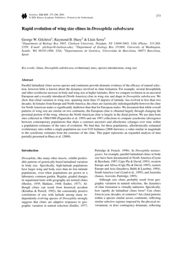 Rapid Evolution of Wing Size Clines in Drosophila Subobscura