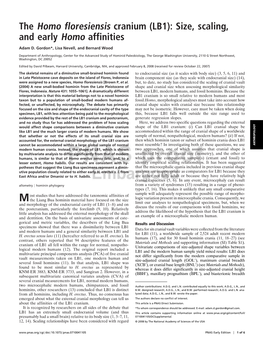 The Homo Floresiensis Cranium (LB1): Size, Scaling, and Early Homo Affinities