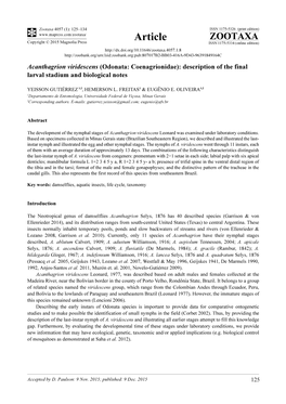 Acanthagrion Viridescens (Odonata: Coenagrionidae): Description of the Final Larval Stadium and Biological Notes