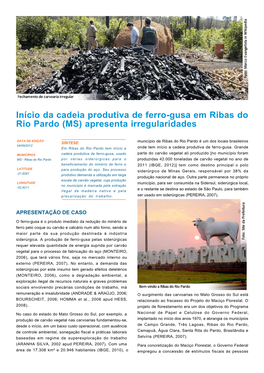 Início Da Cadeia Produtiva De Ferro-Gusa Em Ribas Do Rio Pardo (MS) Apresenta Irregularidades