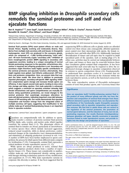 BMP Signaling Inhibition in Drosophila Secondary Cells Remodels the Seminal Proteome and Self and Rival Ejaculate Functions