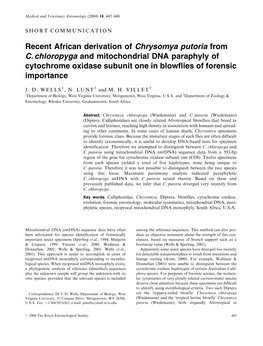 Recent African Derivation of Chrysomya Putoria from C