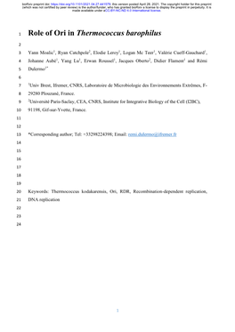 Role of Ori in Thermococcus Barophilus