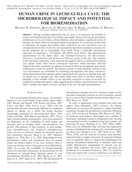 Human Urine in Lechuguilla Cave: the Microbiological Impact and Potential for Bioremediation