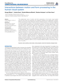 Interactions Between Motion and Form Processing in the Human Visual System