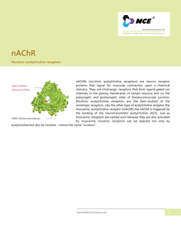 Nicotinic Acetylcholine Receptors