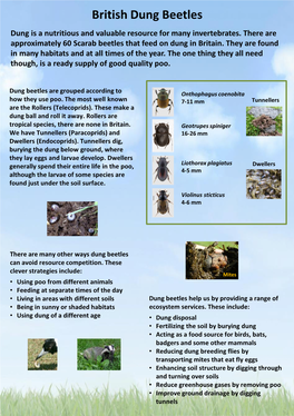 British Dung Beetles Dung Is a Nutritious and Valuable Resource for Many Invertebrates