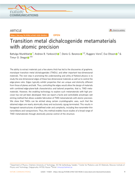 Transition Metal Dichalcogenide Metamaterials with Atomic Precision