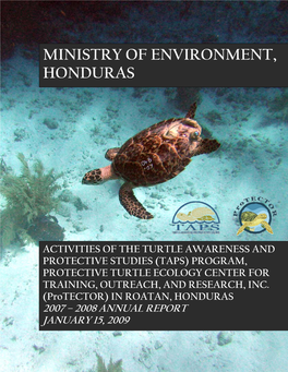 Preliminary Report on the Turtle Awareness and Protection Studies