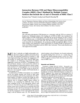 Interaction Between CD8 and Major Histocompatibility Complex (MHC) Class I Mediated by Multiple Contact Surfaces That Include Th