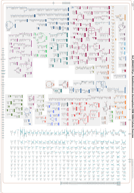 Generated by SRI International Pathway Tools Version 25.0, Authors S