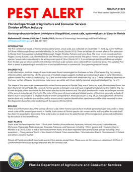 Snout Scale, a Potential Pest of Citrus in Florida