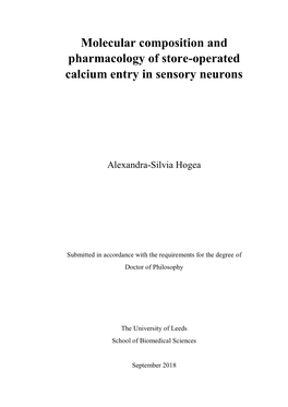 Molecular Composition and Pharmacology of Store-Operated Calcium Entry in Sensory Neurons